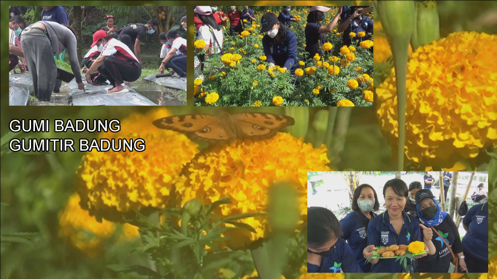 Inklusi Sosial (Bunga Gumitir)